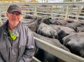 Richard Chapman, Dubbo, purchased a pen of 20, Angus/Shorthorn cows, PTIC to Noonee/Mundarlo Angus bulls on behalf of his son Jordan Chapman, Narromine, for $1540 a head. Picture by Elka Devney